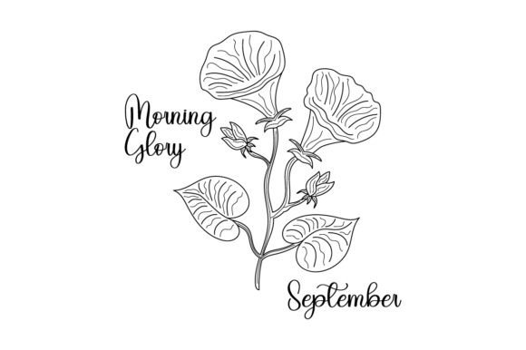 Review: September Morning Glory Embroidery Design