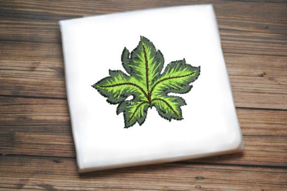 Reviewing Beautiful Grape Leaf for Holiday Collections