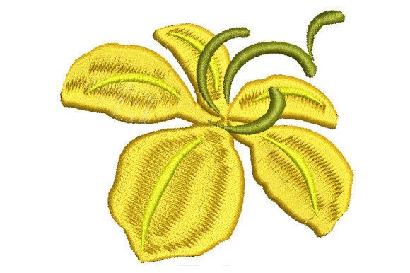 Reviewing the Yellow Ratchaphruek Flower Design
