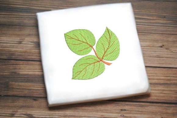 Three Beautiful Leaves: A Designer’s Review